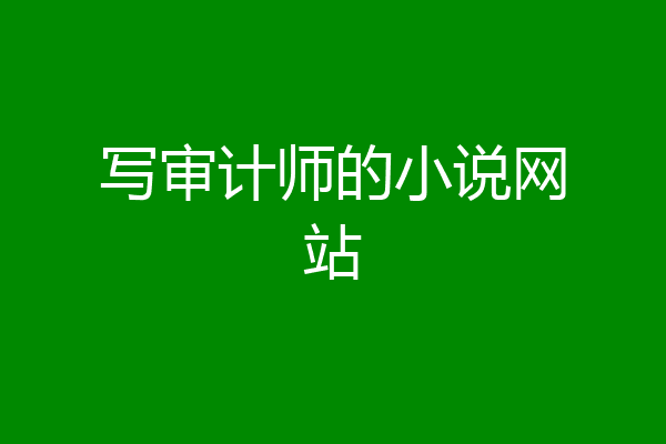 写审计师的小说网站