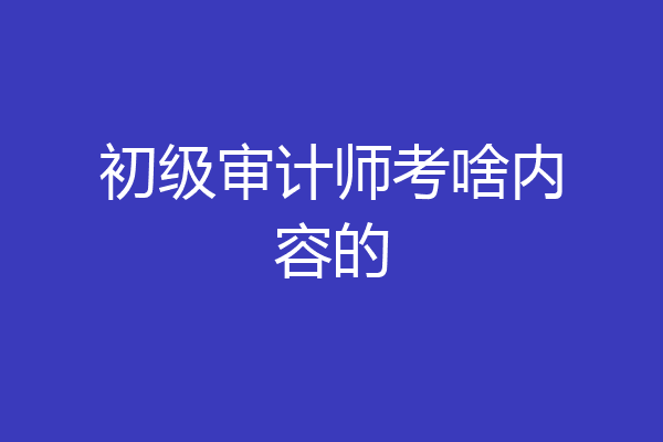 初级审计师考啥内容的