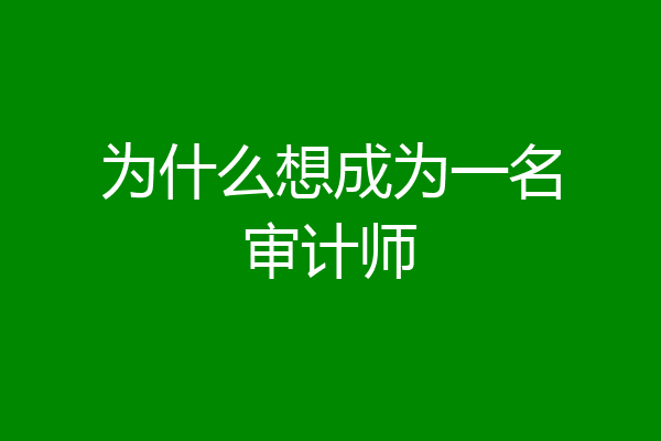 为什么想成为一名审计师