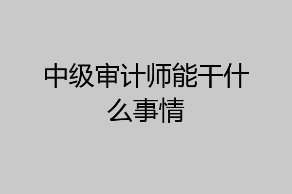 中级审计师能干什么事情