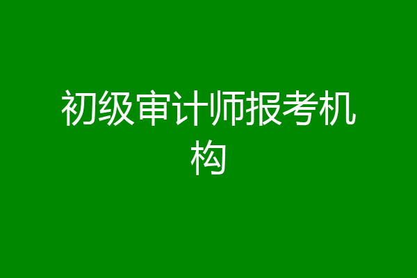 初级审计师报考机构