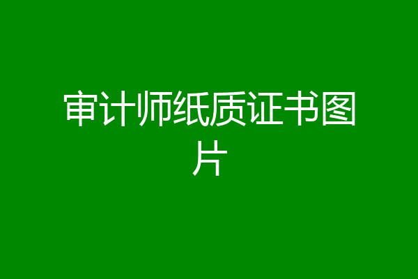 审计师纸质证书图片