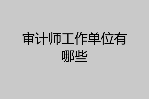 审计师工作单位有哪些