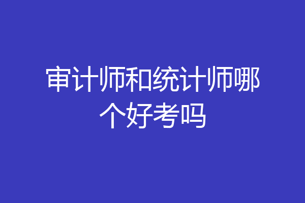 审计师和统计师哪个好考吗