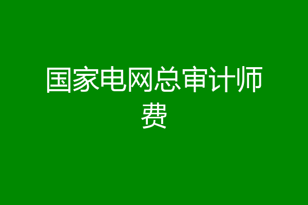 国家电网总审计师费