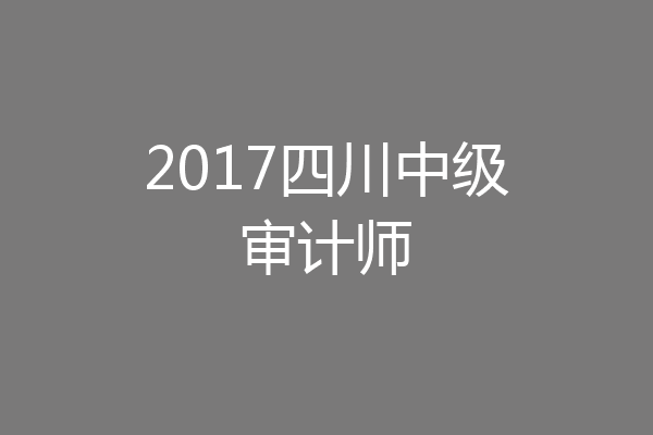 2017四川中级审计师