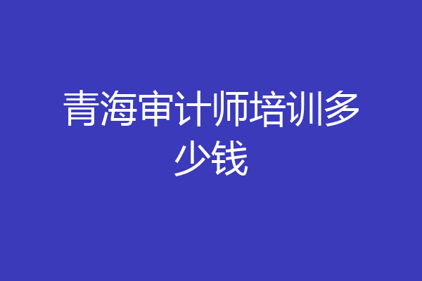 青海审计师培训多少钱