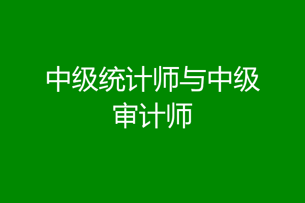 中级统计师与中级审计师