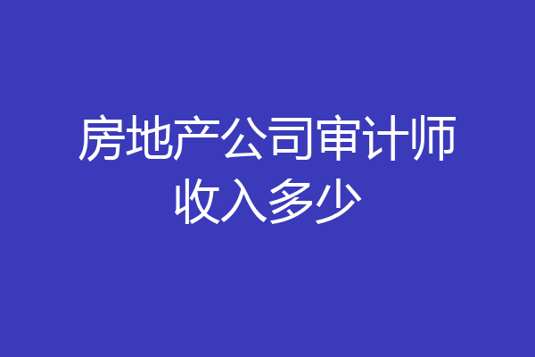 房地产公司审计师收入多少