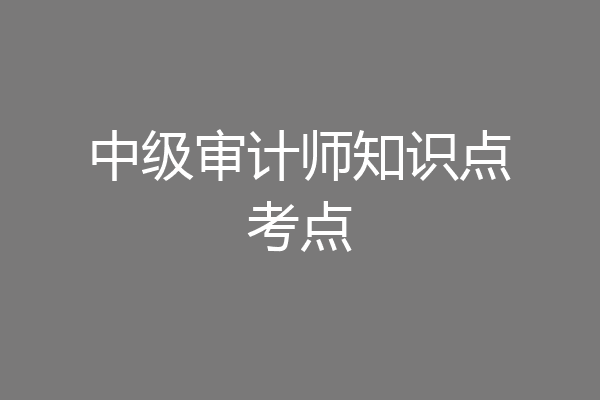 中级审计师知识点考点