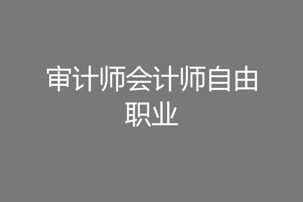 审计师会计师自由职业