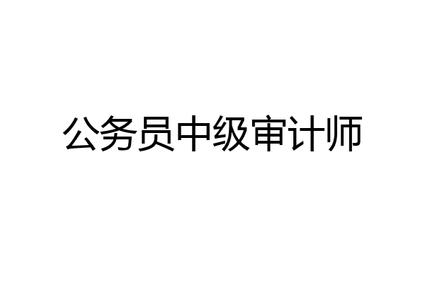 公务员中级审计师