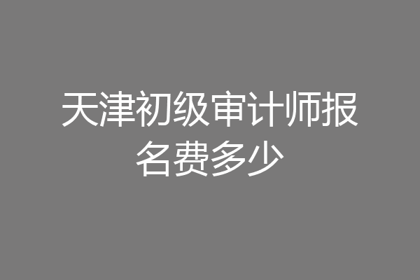 天津初级审计师报名费多少