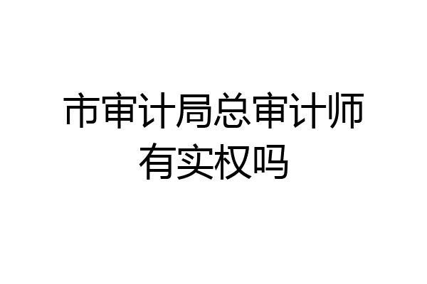 市审计局总审计师有实权吗