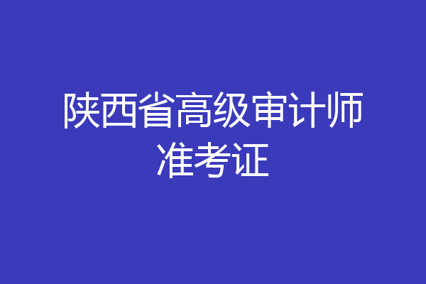 陕西省高级审计师准考证