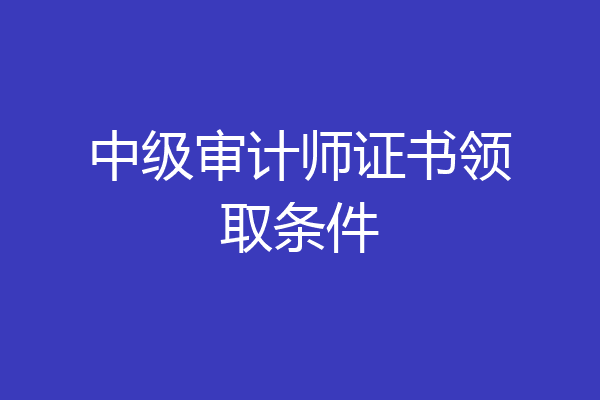 中级审计师证书领取条件