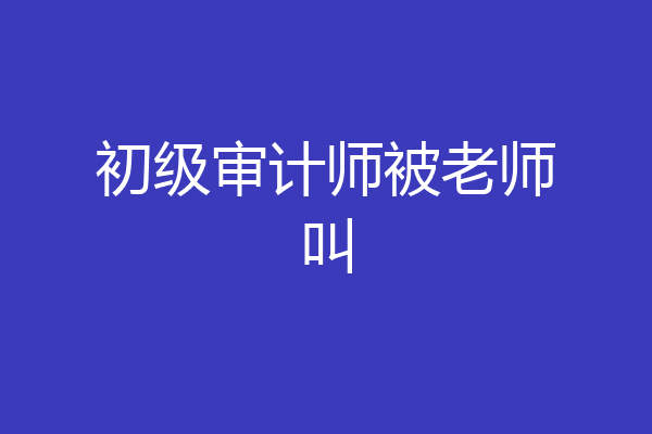 初级审计师被老师叫