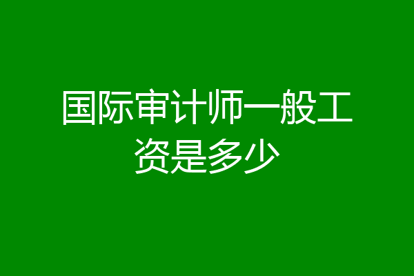 国际审计师一般工资是多少