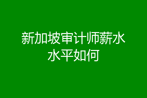 新加坡审计师薪水水平如何