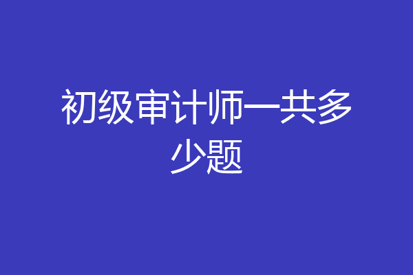 初级审计师一共多少题