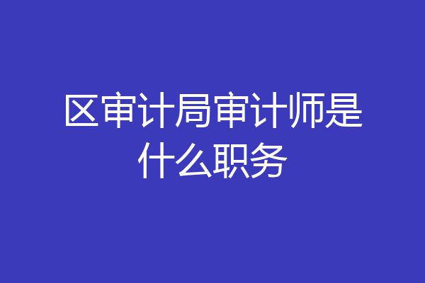 区审计局审计师是什么职务