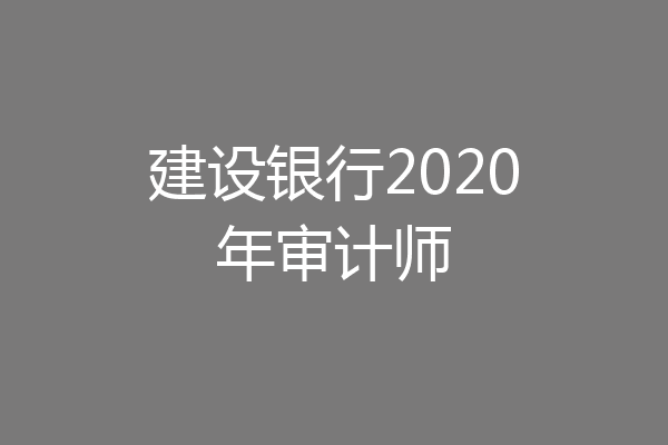 建设银行2020年审计师