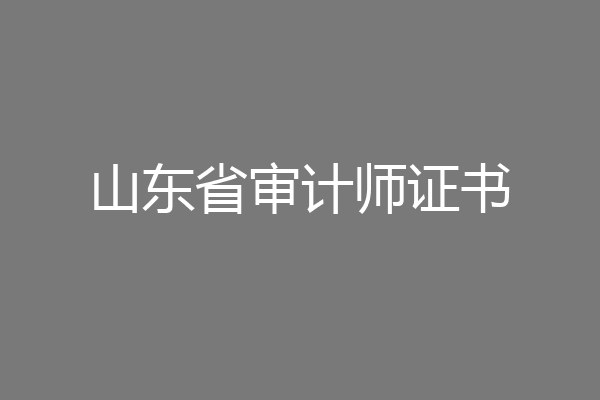 山东省审计师证书
