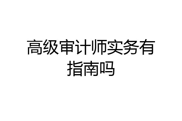 高级审计师实务有指南吗