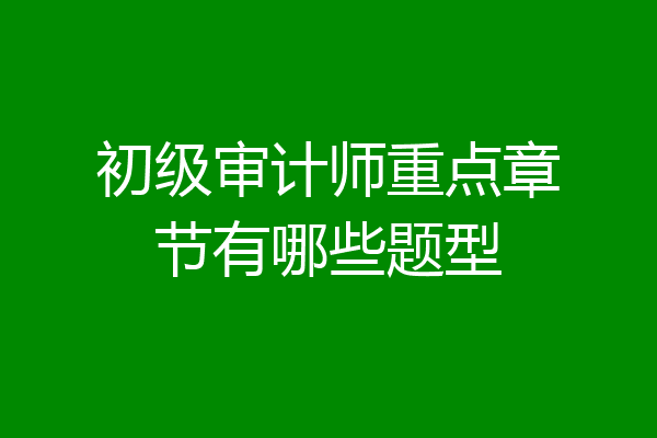 初级审计师重点章节有哪些题型
