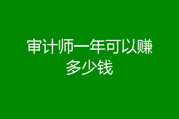 审计师一年可以赚多少钱
