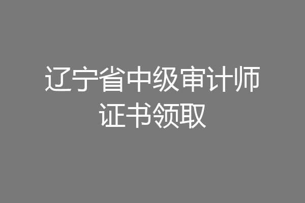 辽宁省中级审计师证书领取