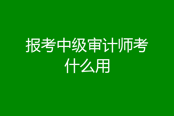 报考中级审计师考什么用