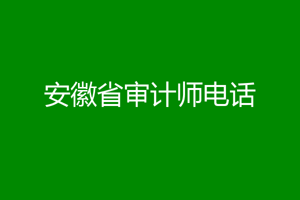 安徽省审计师电话