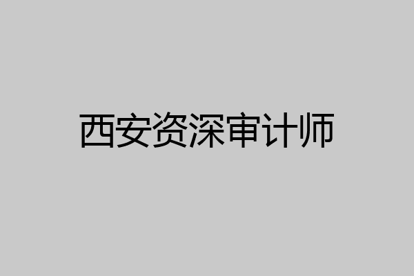 西安资深审计师
