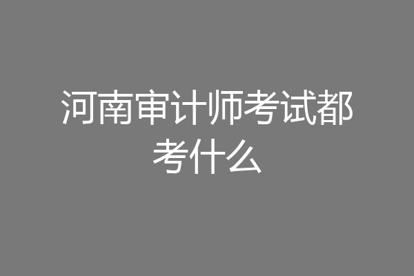 河南审计师考试都考什么