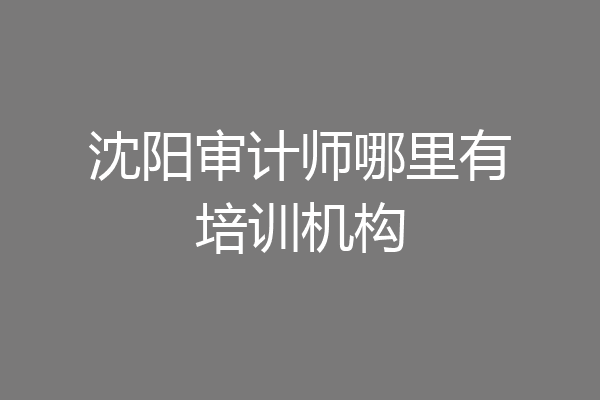 沈阳审计师哪里有培训机构