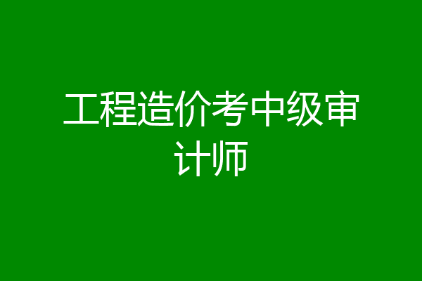 工程造价考中级审计师