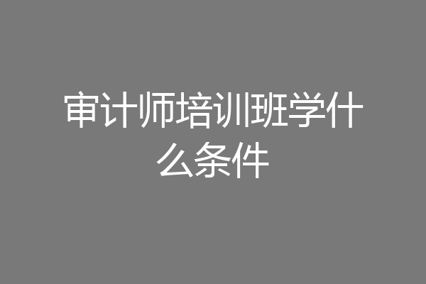 审计师培训班学什么条件