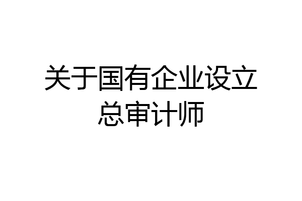 关于国有企业设立总审计师