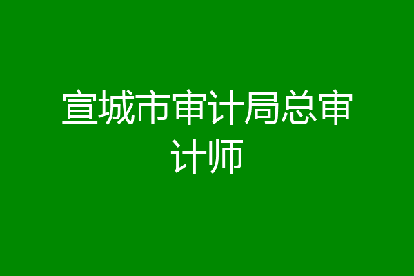 宣城市审计局总审计师