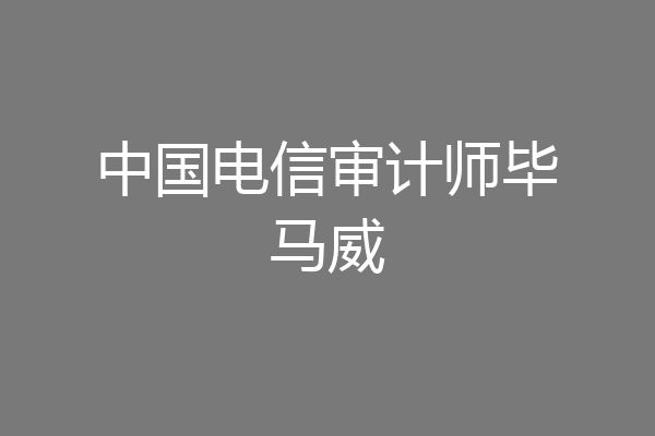 中国电信审计师毕马威