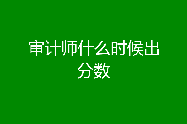 审计师什么时候出分数