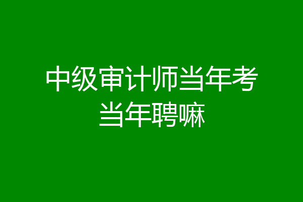 中级审计师当年考当年聘嘛