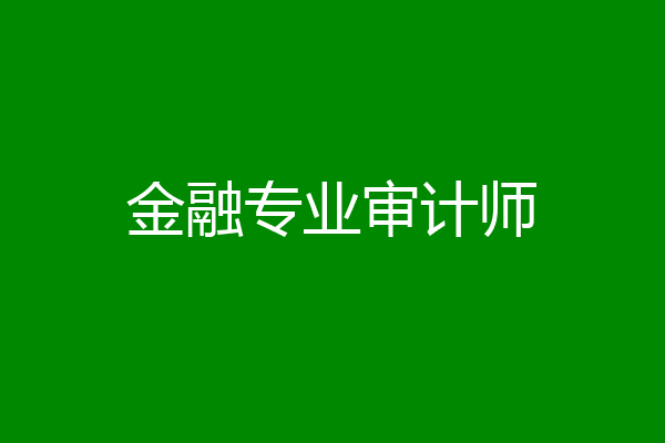 金融专业审计师