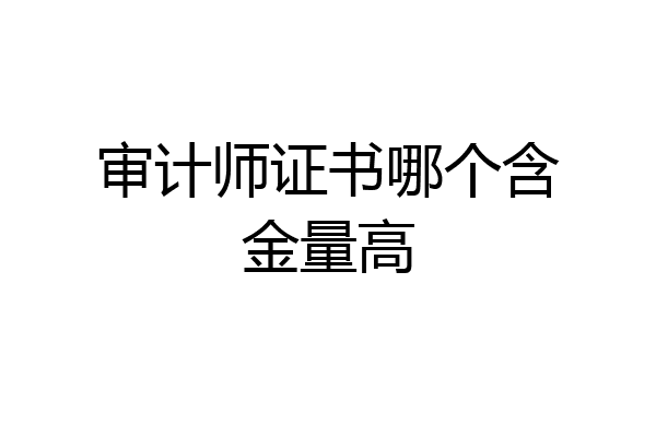 审计师证书哪个含金量高