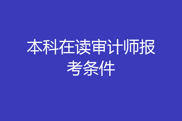 本科在读审计师报考条件