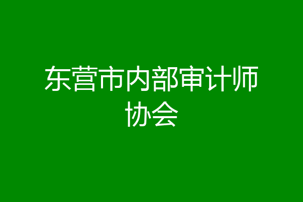东营市内部审计师协会