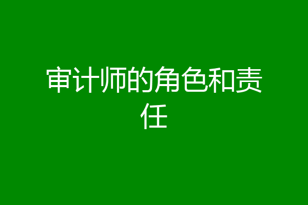 审计师的角色和责任