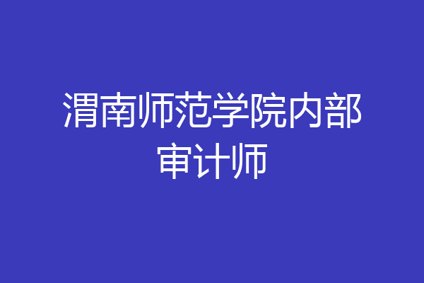 渭南师范学院内部审计师