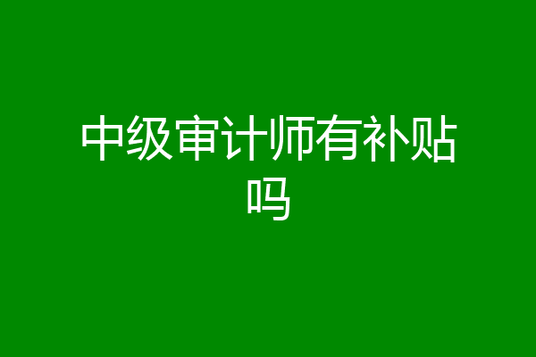 中级审计师有补贴吗